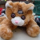 Illustration for article titled If You Can't Buy It, Build It: Wanky The Safety Cat